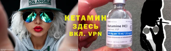 индика Инта