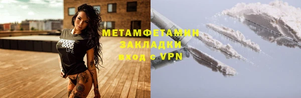 индика Инта