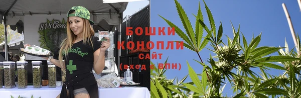 индика Инта