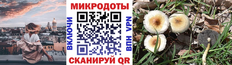 Псилоцибиновые грибы мицелий  магазин  наркотиков  Змеиногорск 