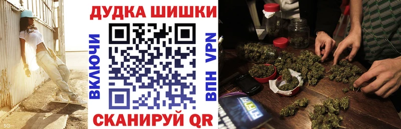 где найти наркотики  Змеиногорск  Конопля семена 